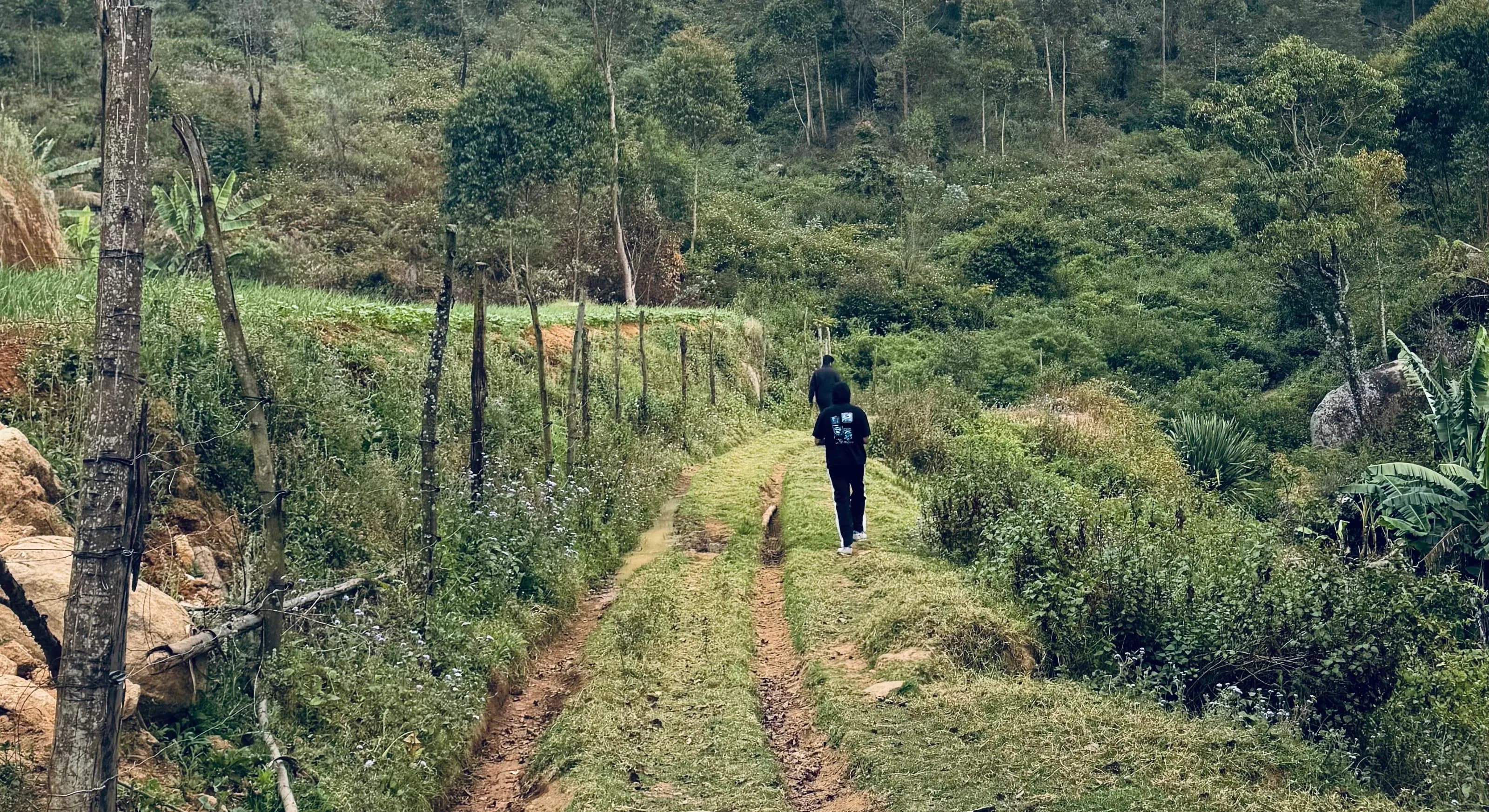 poombarai-walk-nature